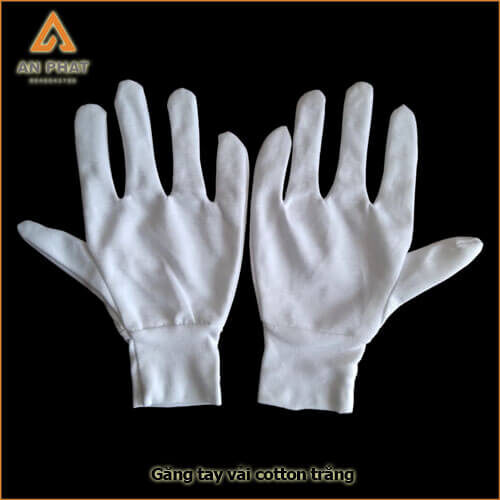 Găng tay vải cotton trắng Quảng Ninh, hải phòng, hải dương, thái bình