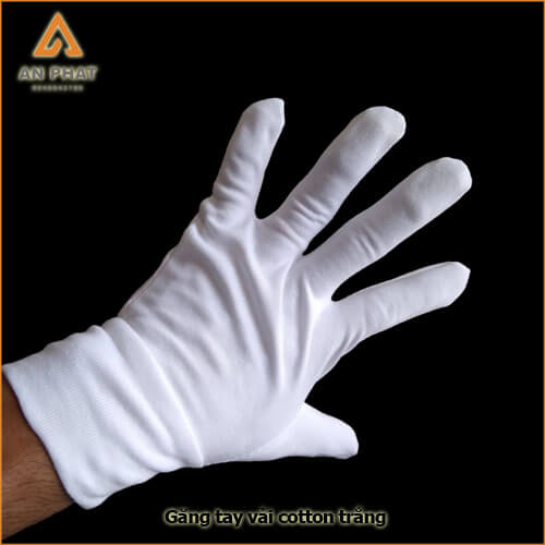 Găng tay cotton trắng co giãn 4 chiều và 2 chiều